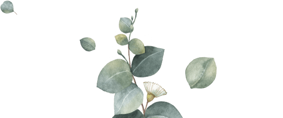 Boda de Odu y César