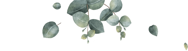 Boda de Odu y César